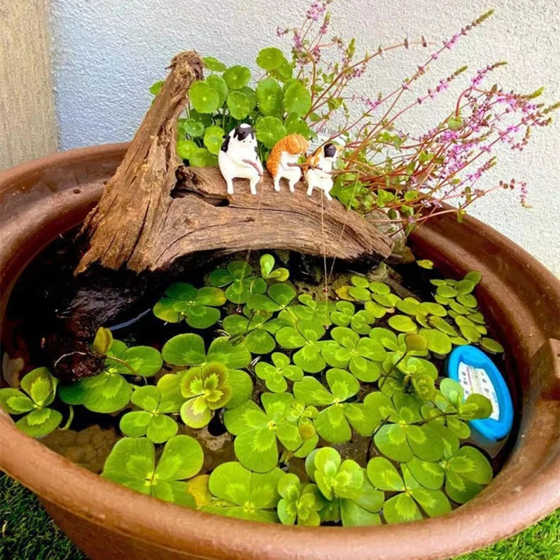 Mini Cat Fishing