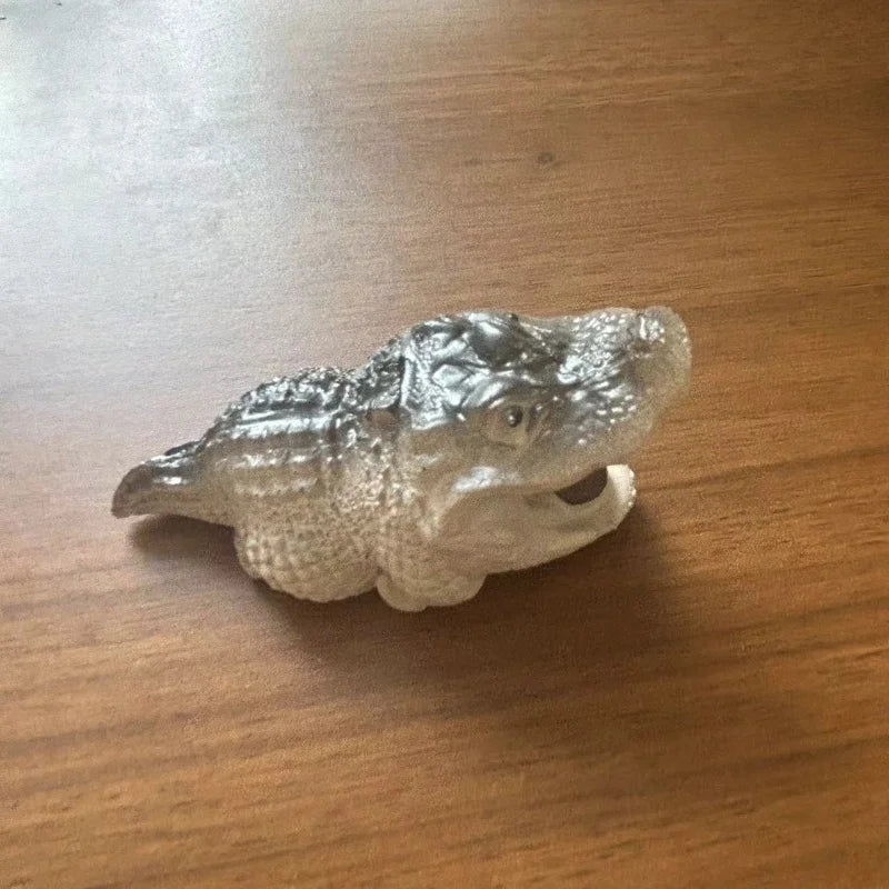 Cute Little Crocodile